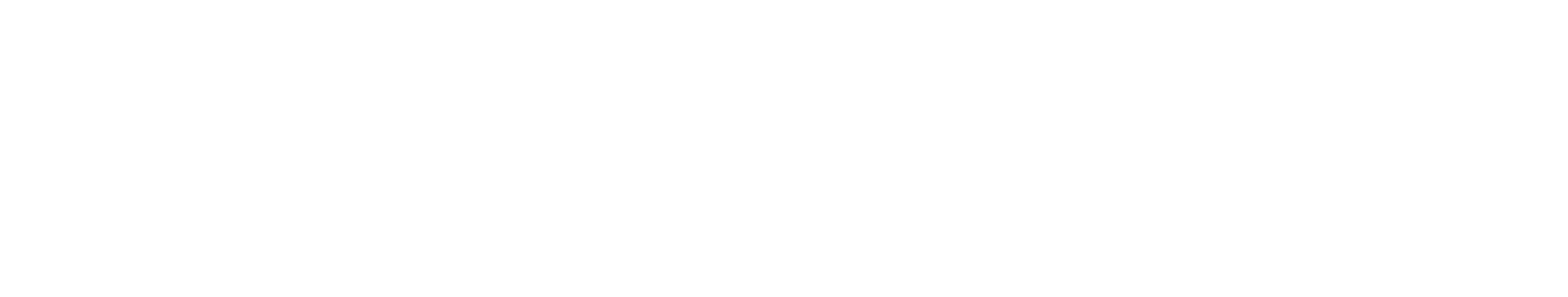 PKF WMS Logo