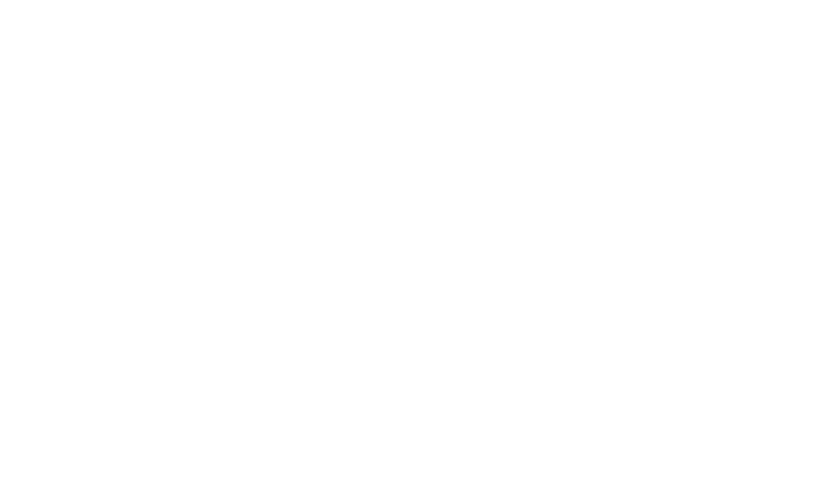 PKF WMS Logo